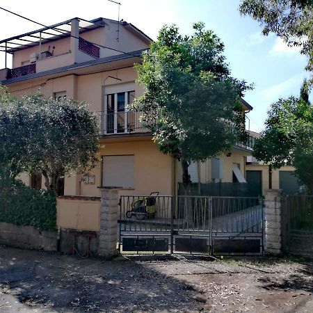 Il Merlo Piza Zewnętrze zdjęcie